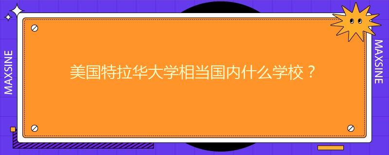 美国特拉华大学相当国内什么学校？
